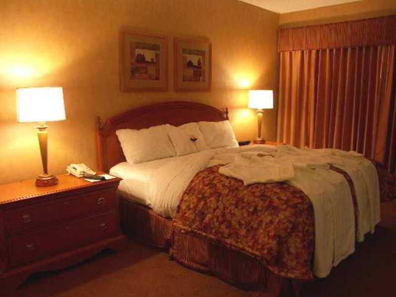 Embassy Suites By Hilton Detroit Metro Airport Romulus Chambre photo
